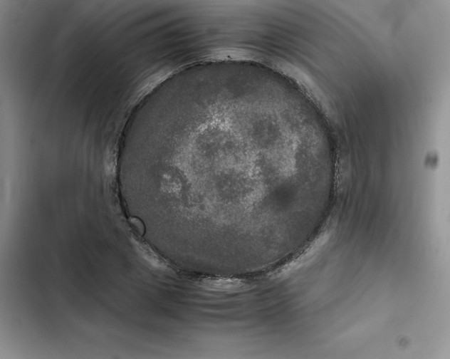 X0000102520833200808221839