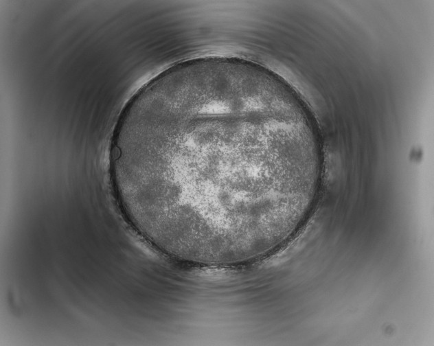 X0000102520834200808221839