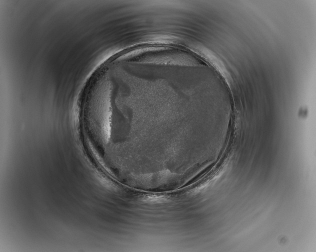 X0000102520835200808221839