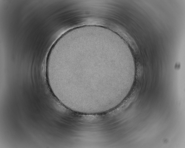 X0000102520836200808221839