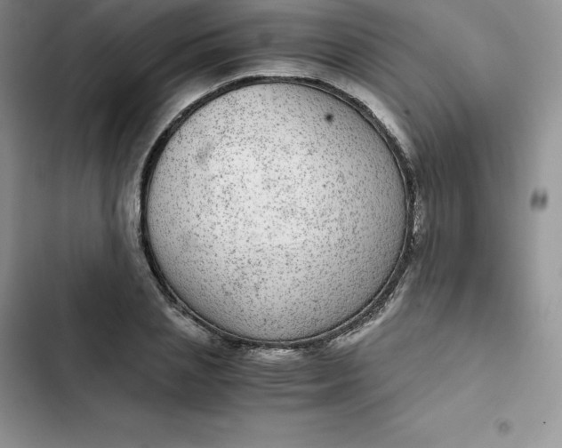 X0000102520837200808221839