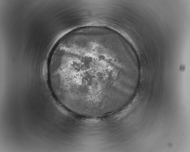 X0000102520838200808221839