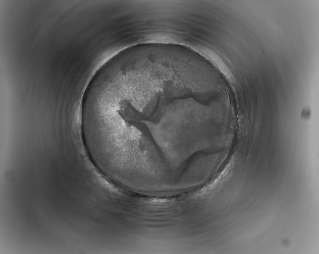 X0000102520839200808221839