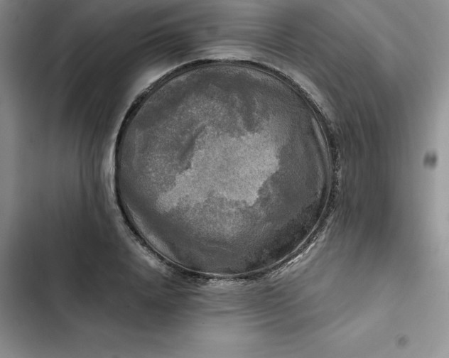 X0000102520840200808221839