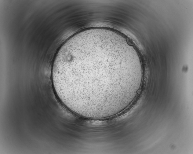 X0000102520841200808221839