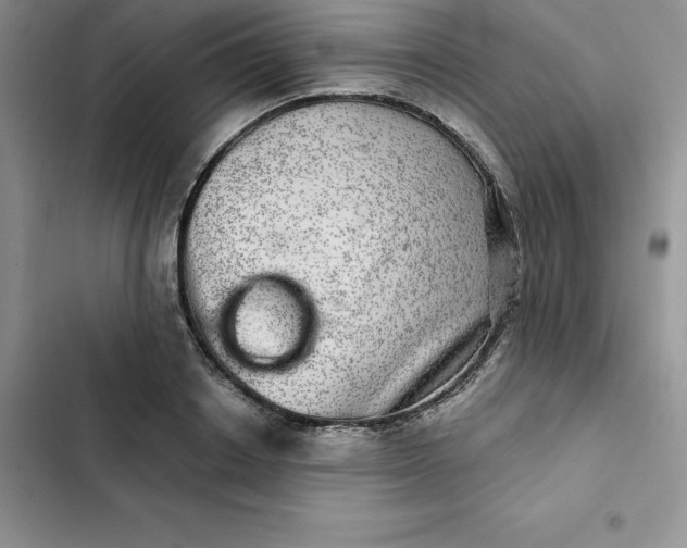 X0000102520842200808221839