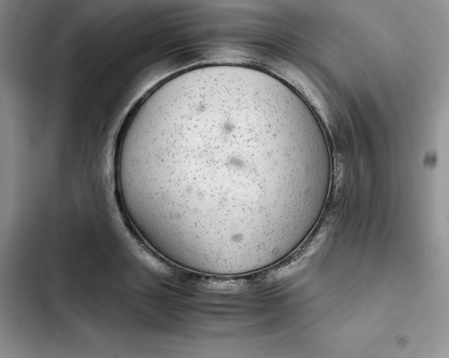 X0000102520843200808221839