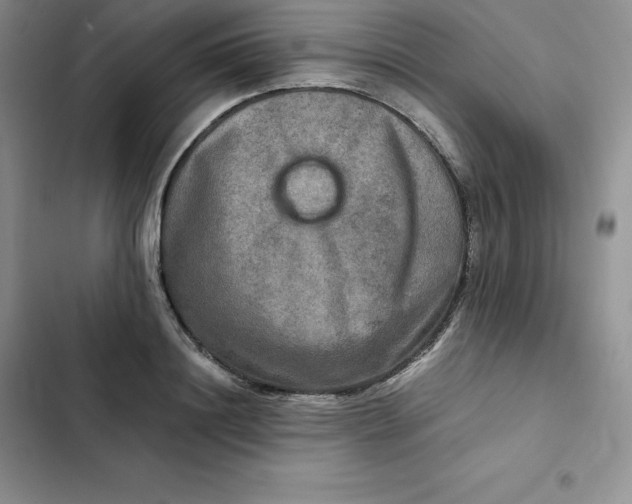 X0000102520844200808221839