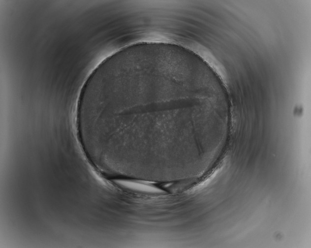 X0000102520845200808221839