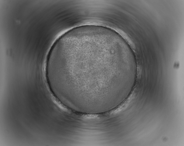 X0000102520846200808221840