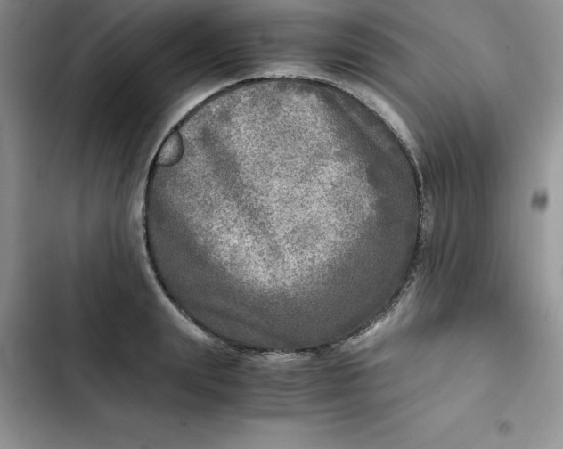 X0000102520847200808221840