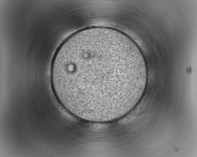 X0000102520848200808221840