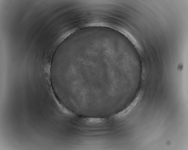 X0000102520849200808221840