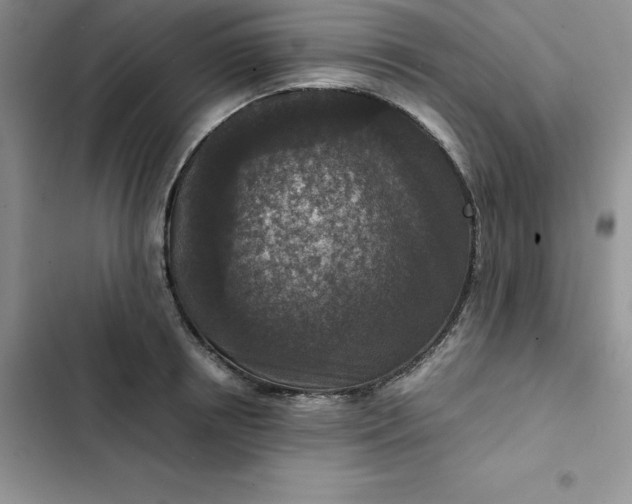 X0000102520850200808221840