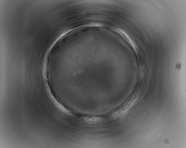 X0000102520851200808221840