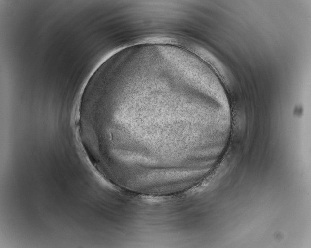 X0000102520852200808221840