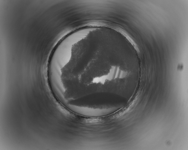 X0000102520853200808221840