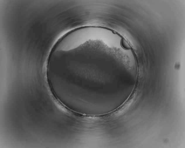 X0000102520854200808221840