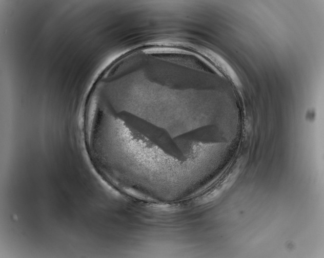 X0000102520855200808221840