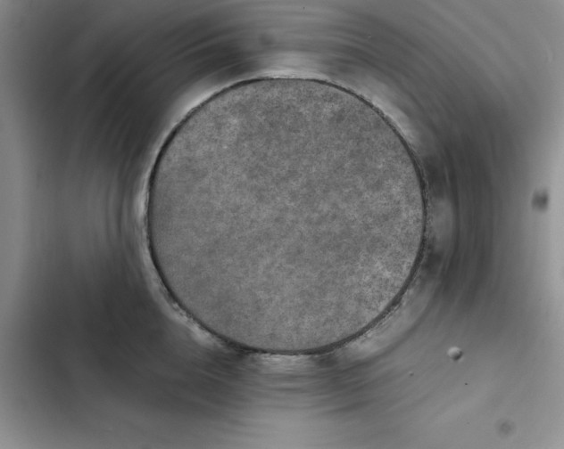 X0000102520856200808221840