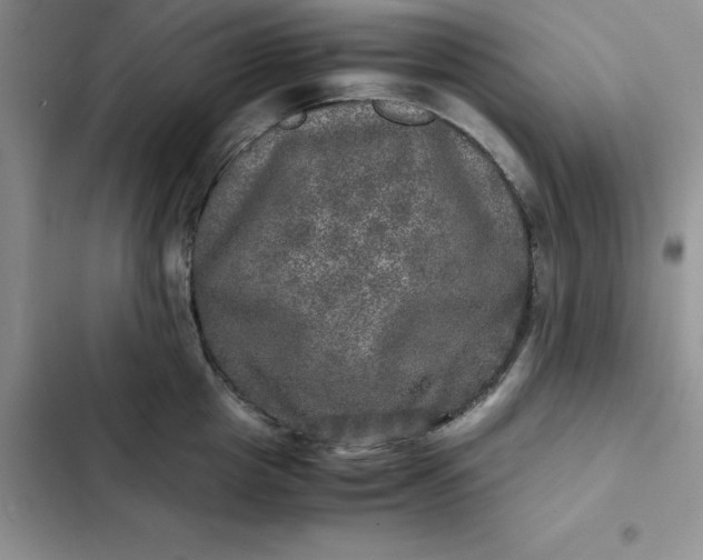 X0000102520857200808221840