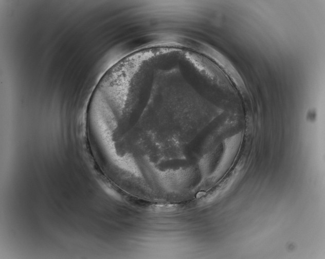 X0000102520858200808221840