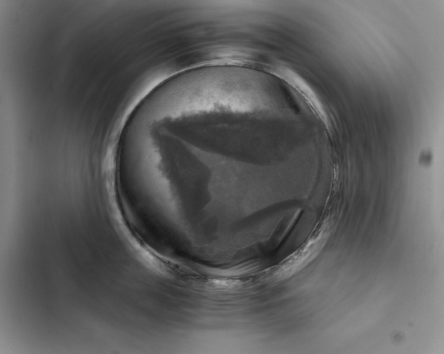 X0000102520859200808221840