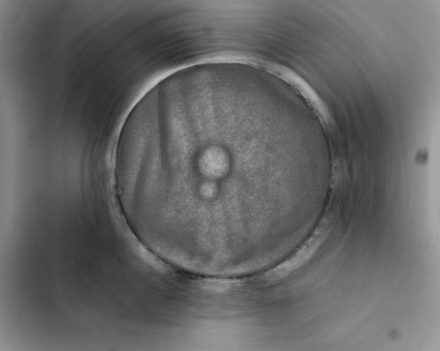 X0000102520860200808221840