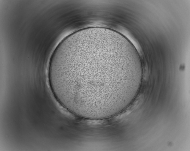 X0000102520861200808221840