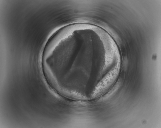 X0000102520862200808221840