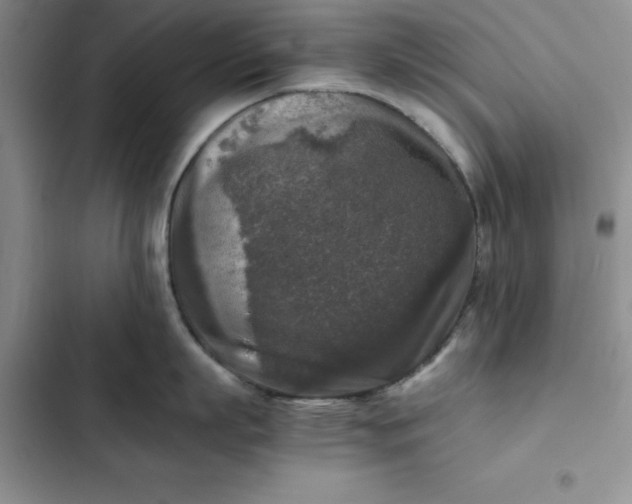 X0000102520863200808221840