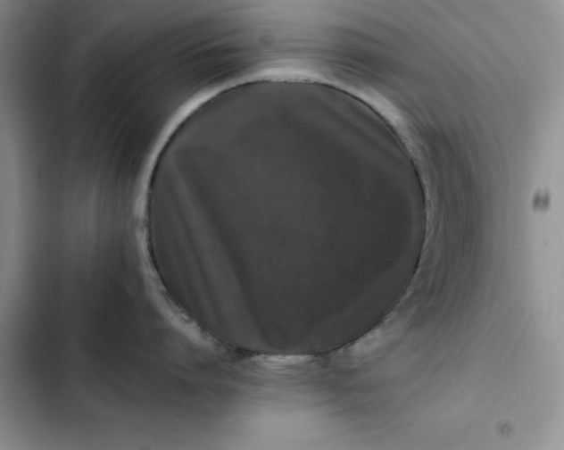 X0000102520864200808221840