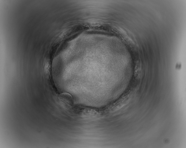 X0000102520866200808221839