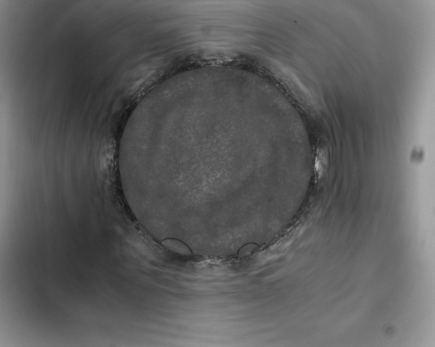 X0000102520867200808221839