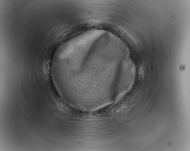 X0000102520868200808221839