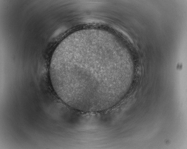 X0000102520869200808221839