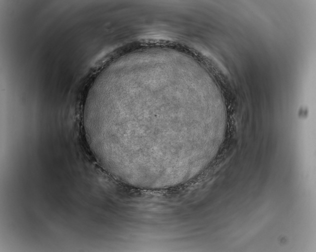 X0000102520870200808221839