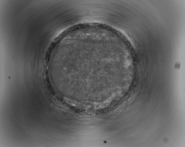 X0000102520871200808221839