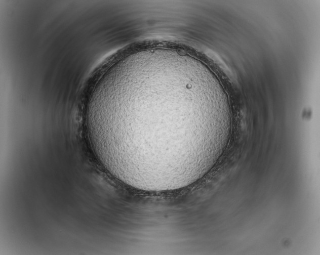 X0000102520872200808221839