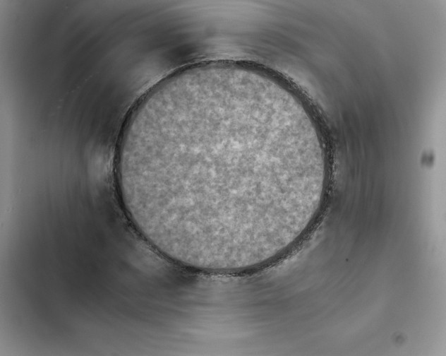 X0000102520873200808221839