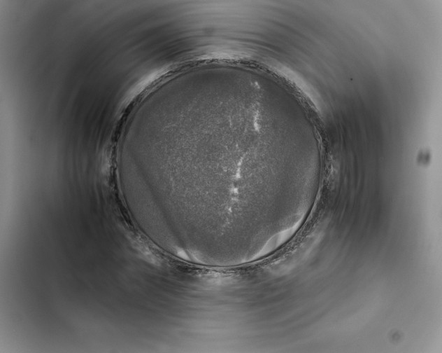 X0000102520874200808221839