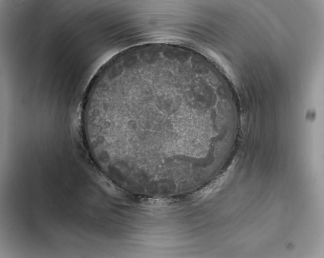 X0000102520875200808221839