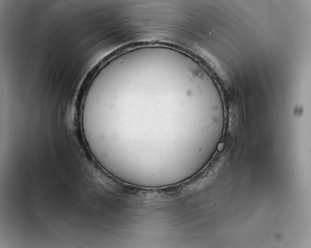 X0000102520876200808221839