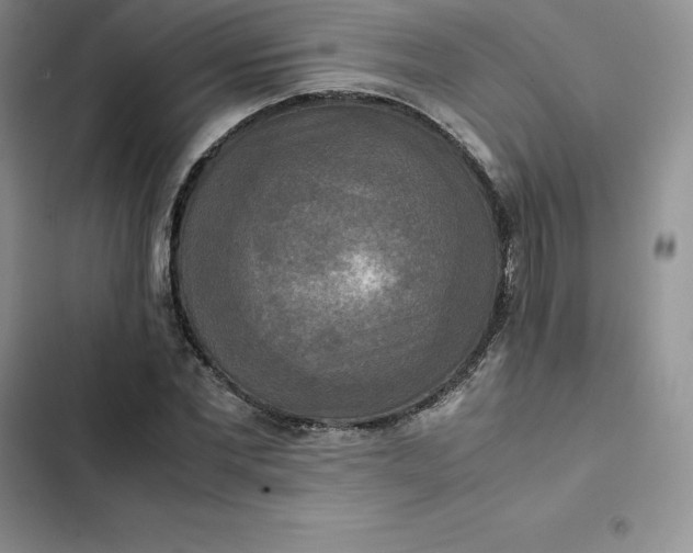 X0000102520877200808221839