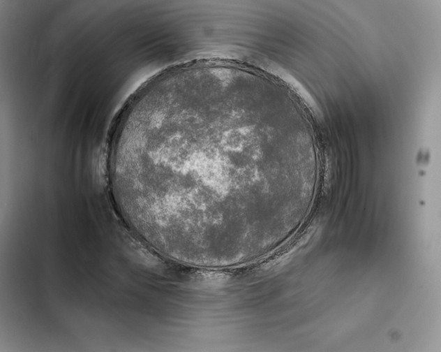 X0000102520878200808221839