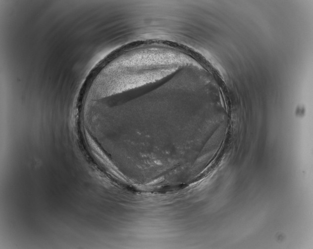 X0000102520879200808221839