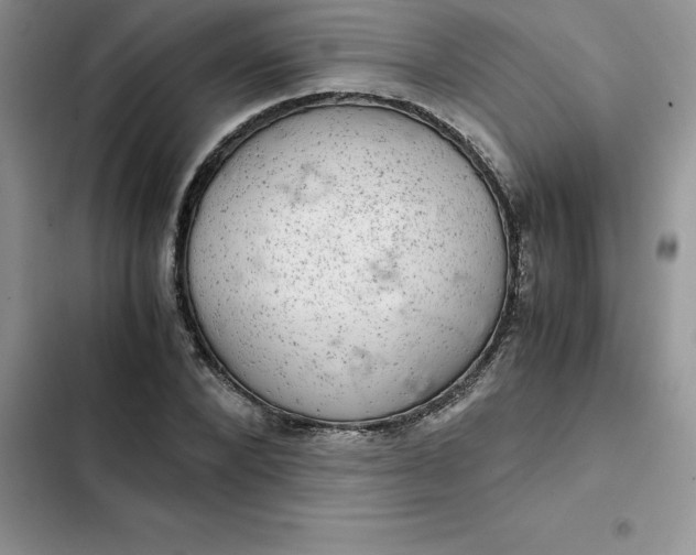 X0000102520880200808221839