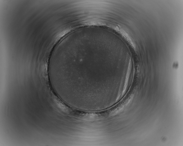 X0000102520881200808221839