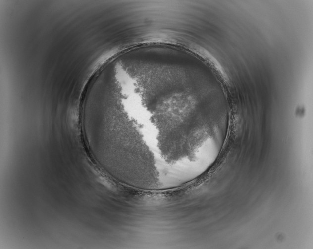 X0000102520882200808221839