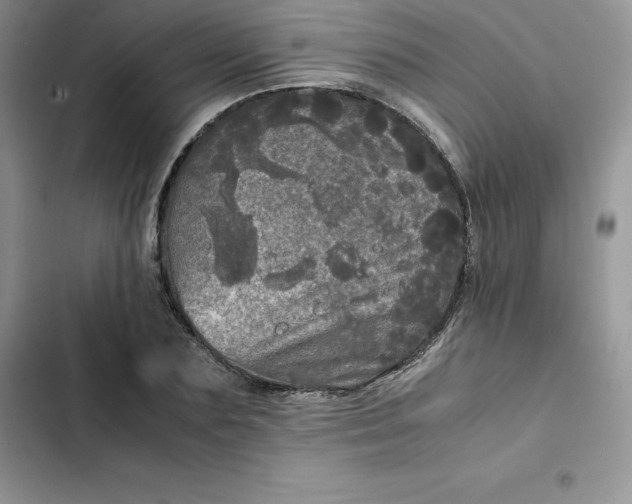 X0000102520883200808221839